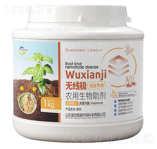 �o(w��)���O���x(ch��ng)��(zhu��n)��-ʢ��¡��