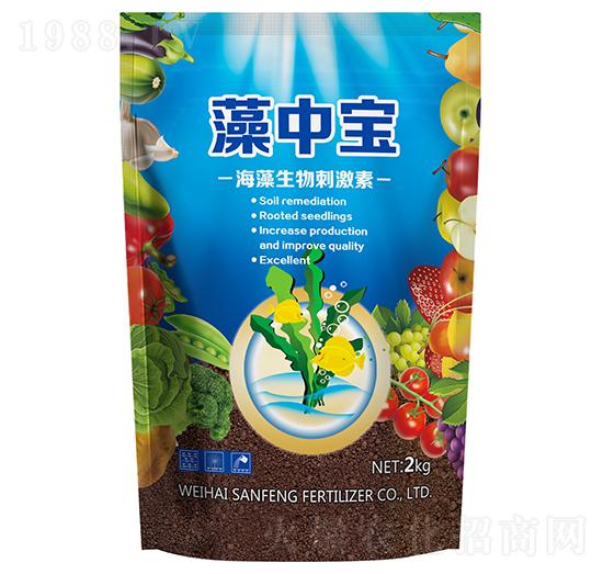 ���Ќ�-��������