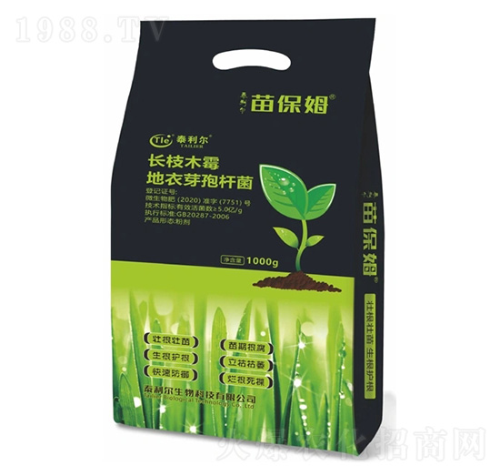 �籣ķ-̩����