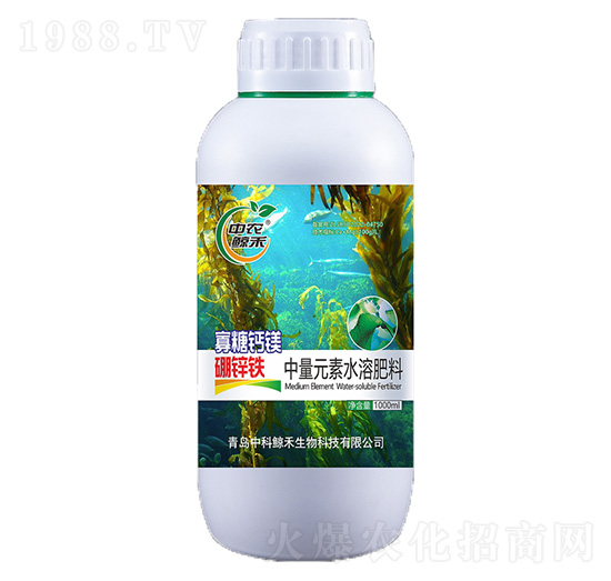 �����}�V���\�F-���r(n��ng)�L��