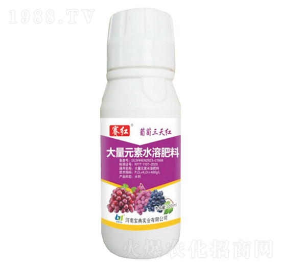 ��������t-ِ�t-���䌍�I(y��)