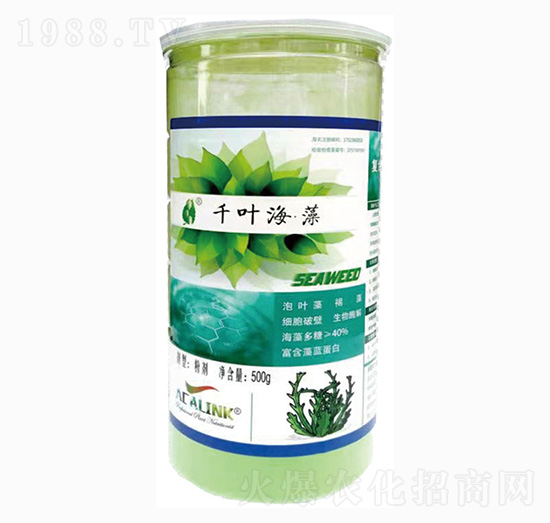 ǧ�~����-��˹�r