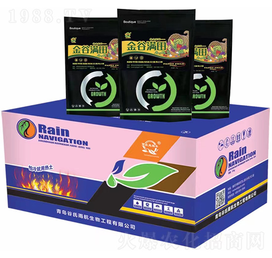 ��ȝM��-�����꺽