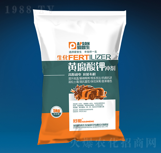 �S����⛛_��-��(��i)����