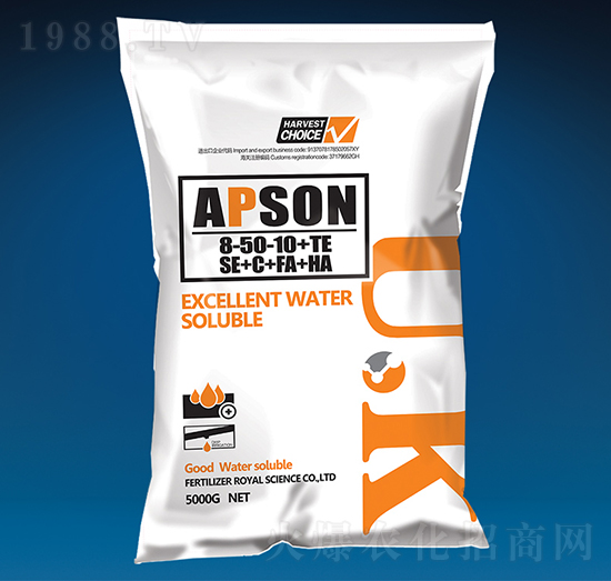 �������8-50-10+TE-��(��i)����