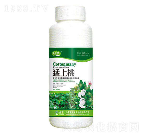 �����ң�500g��-����-�sҫ�r(n��ng)�I(y��)