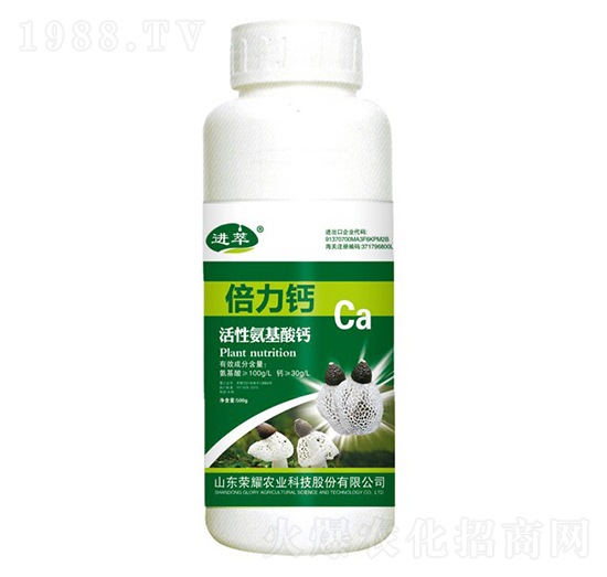 ���԰������}��500g��-�M��-�sҫ�r�I(y��)