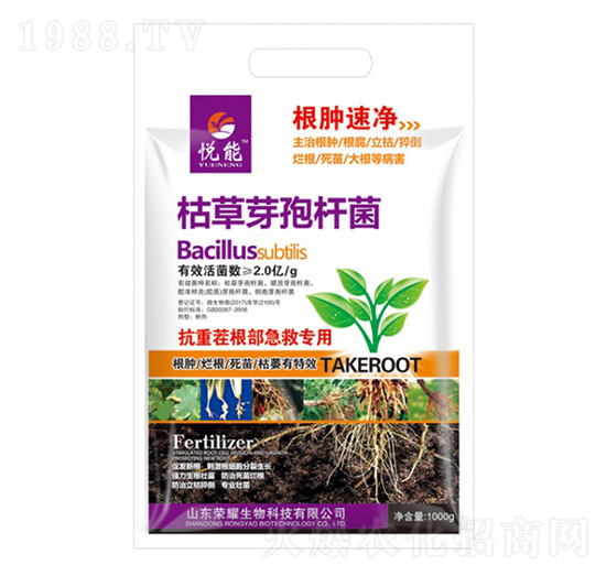 �ݲ�ѿ�ߗU��-����-�sҫ�r�I(y��)