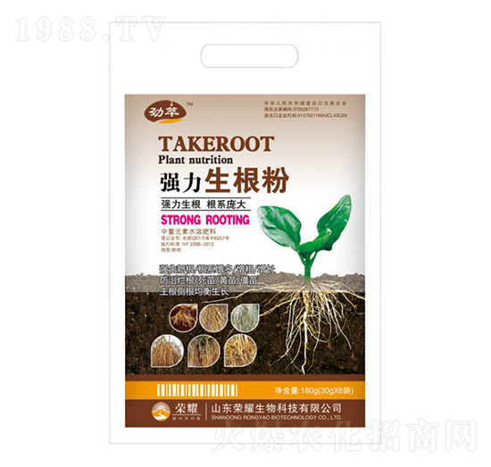 ����������-����-�sҫ�r�I(y��)