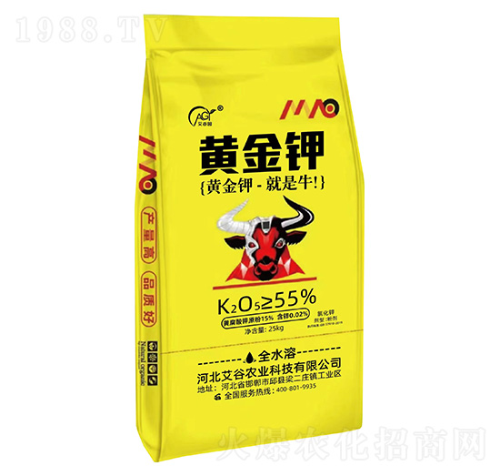 �S���-���Ȉ@-�����r�I(y��)