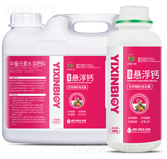 ����Ҹ��}-����������