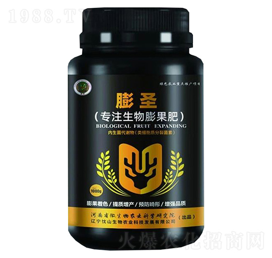 ��ʥ����ע��������ʣ�-��ɽ����