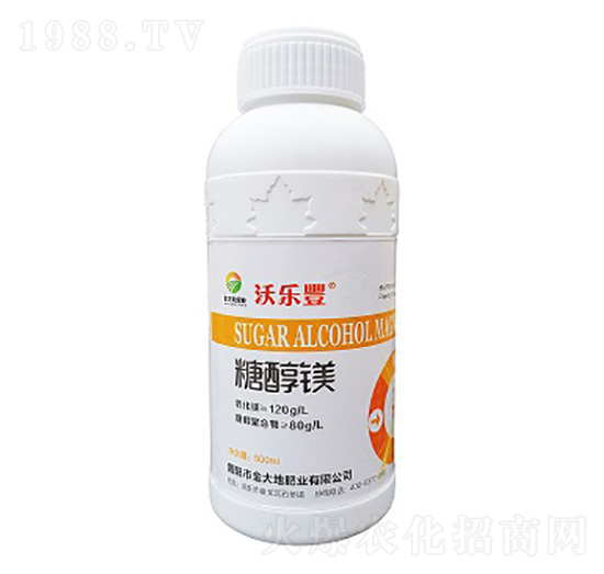 �Ǵ��V-�֘��S-���طʘI(y��)