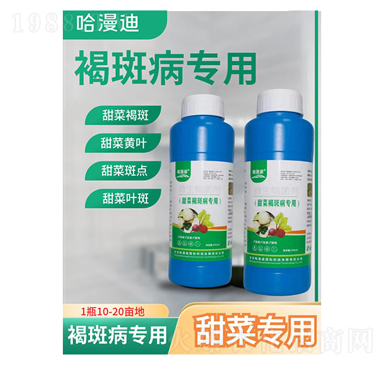 ��˺ְ߲�����-�ο�ֲ��