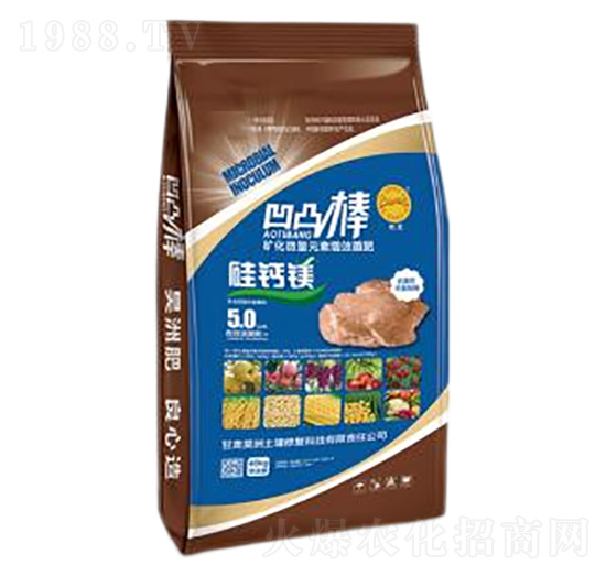 ��͹��-��������ޏ�