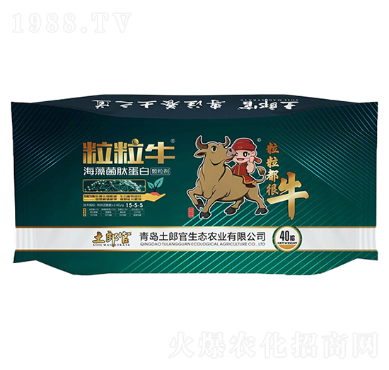 ��������������ĵ���-���ɹ�