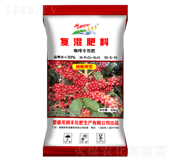 ���Ȍ��Ïͻ����10-5-15-�����S