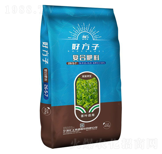 ���~�m�ÏͺϷ���26-5-7-�÷���-�A���������F