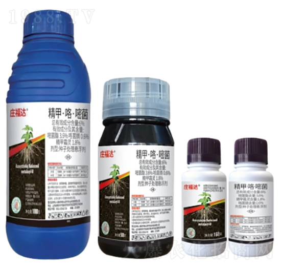 6%���ס������׾��N��̎��Ҹ�����FS��-�f���_-�л�����ƌW