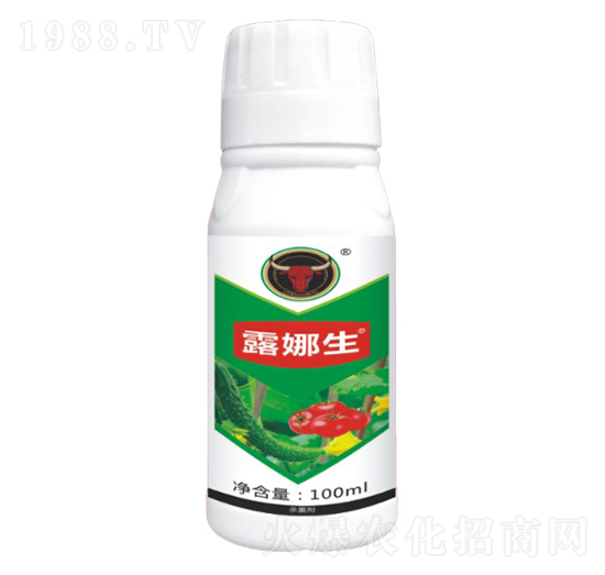 �����(x��)����(zhu��n)��-¶����-��ţ��(gu��)�H