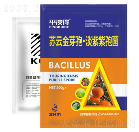 ���ٝ����ײ�2̖(h��o)-���A��