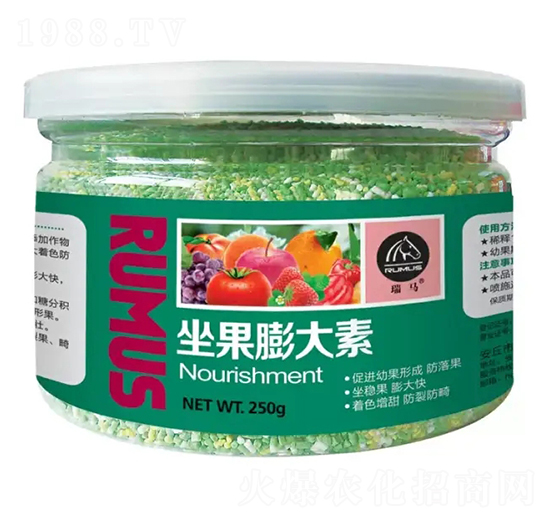 ���������-�̶�����