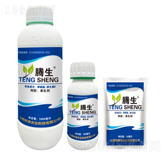 ����֬���S����E-�v��-�õ���