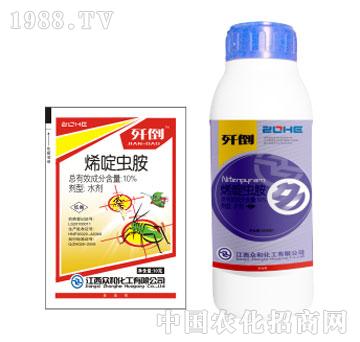 ����-���x��