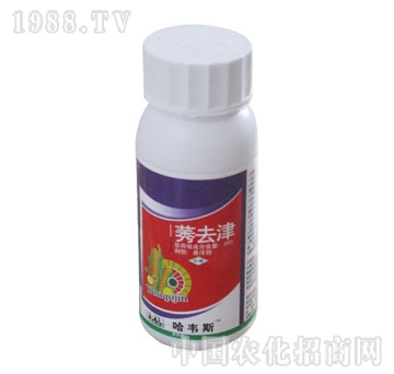 ���S˹-ݬȥ��