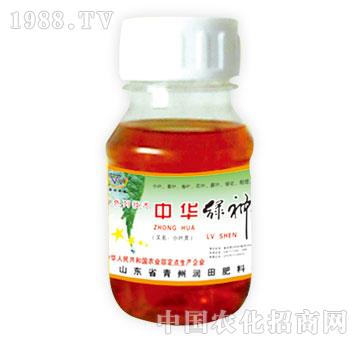 ����-���A�G��