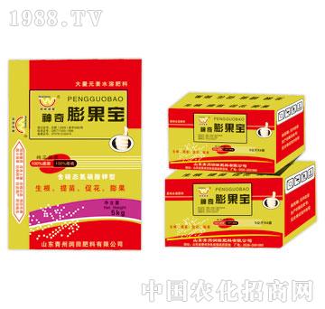 ����-���������