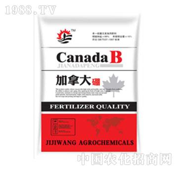 ������-���ô���