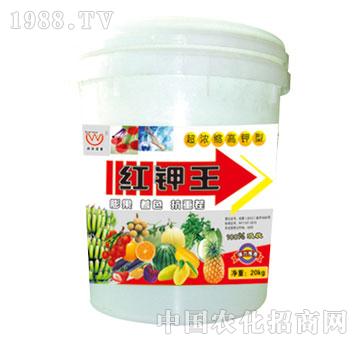 ����-�t���