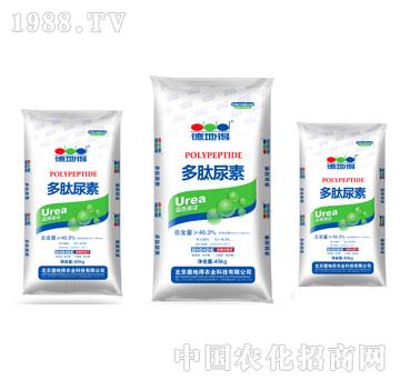 �µص�-��������