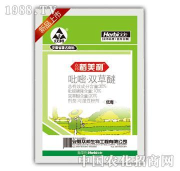 30%�����p����-������