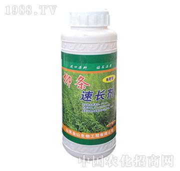 ��ɽ����-���l���L��