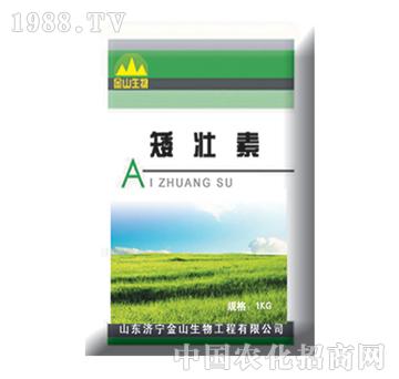 ��ɽ����-������