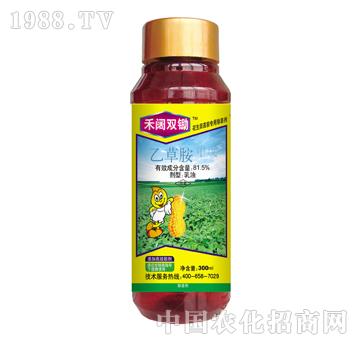 81.5%����p�z-̩�