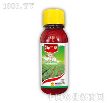 �z����-̩�