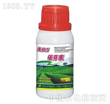 ��ѿ��-������-˼�h(yu��n)����