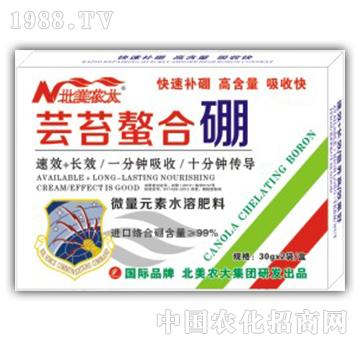 �|̦������-�����r(n��ng)��