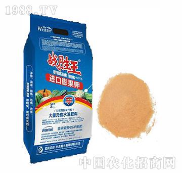 ��(zh��n)�����M�����⛣�������⛸��}�ͣ�-�����r(n��ng)��