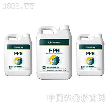 PPH-�~������������ܴa-�Խ