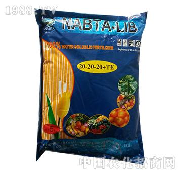 20-20-20+TE-һ�Ļ���