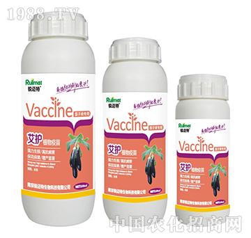 ���oֲ���������ӌ���-�J�~��