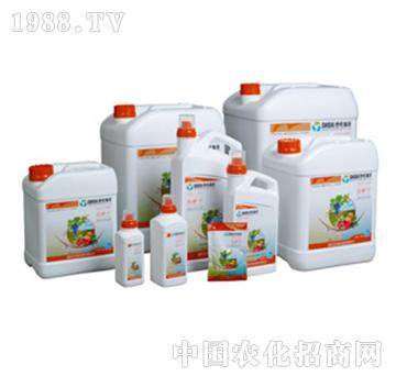 �~�懊ʩ��-��������