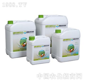 �_ʩ��-��������