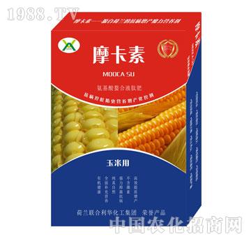 ���׌��ð���������Һ�ķ�-Ħ����-��о���H