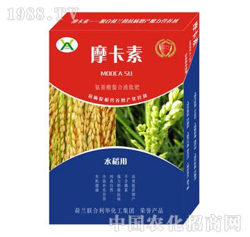 ˮ�����ð���������Һ�ķ�-Ħ����-��о���H