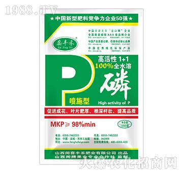 �߻���1+1�ף���ʩ�ͣ�-���S��